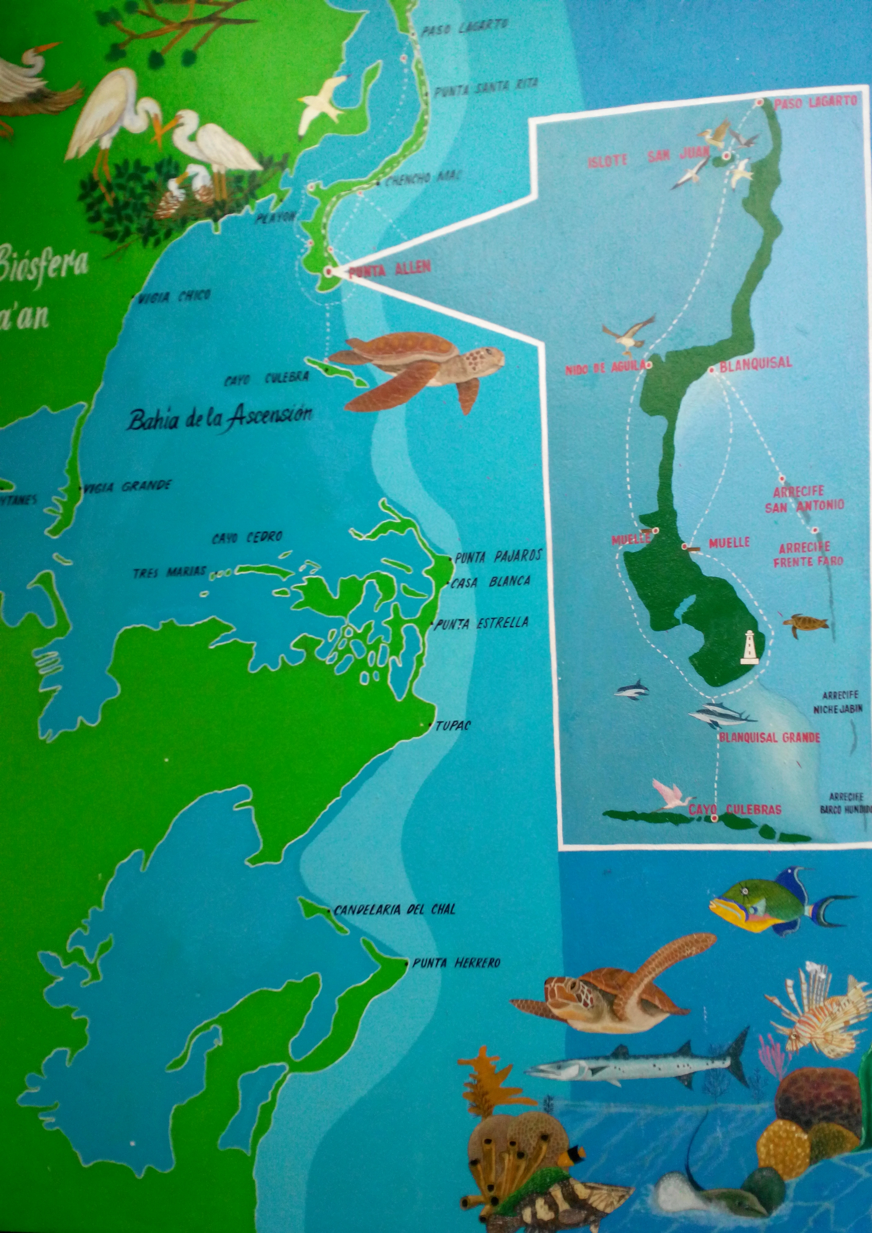Mapa de referencia de la zona descrita en el artículo