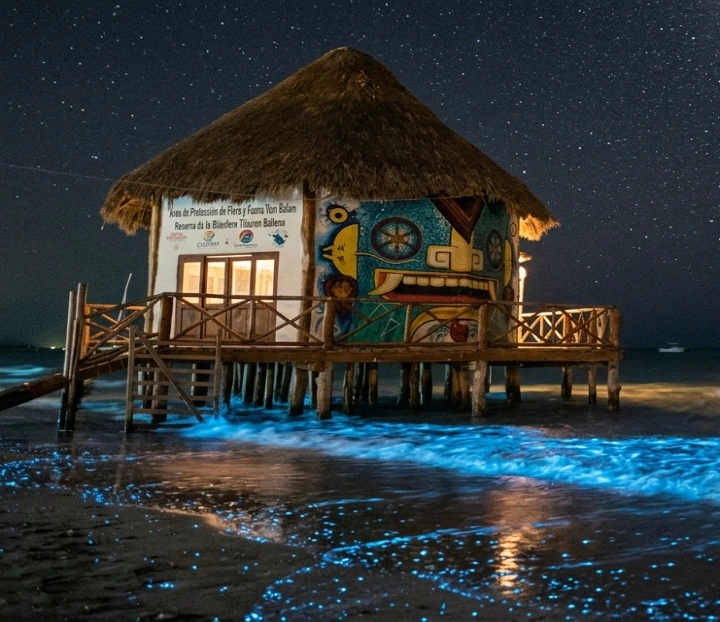 Holbox